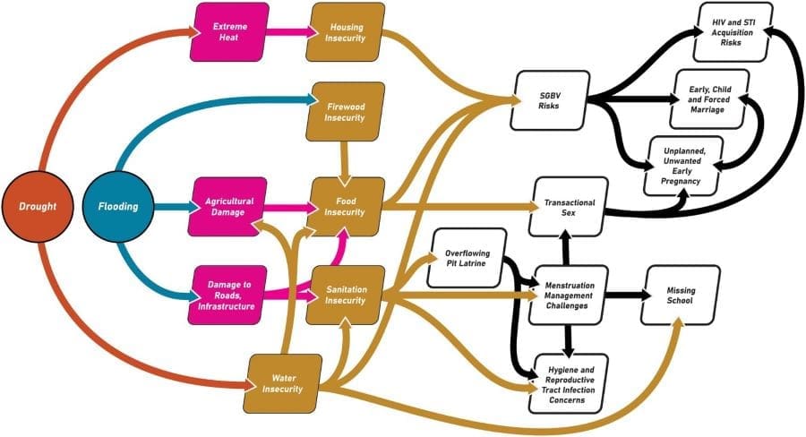 Image: Graphic - Pathways from drought and flooding to sexual and reproductive health outcomes among refugee youth in Bidi Bidi Refugee Settlement, Uganda