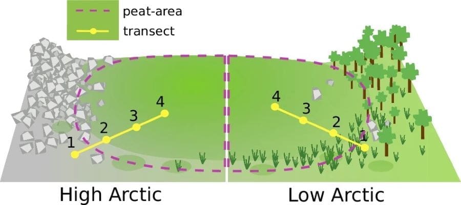 Arctic peatlands spreading northward as temperatures rise Image: Sketch showing peat-area and transects used in this study (s. Arctic peatlands)