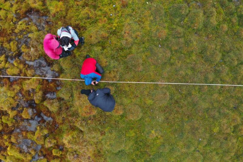 Arctic peatlands spreading northward as temperatures rise Image: Drone image of the fieldwork team in an Arctic peatland