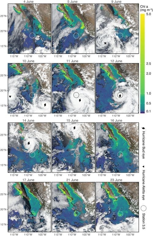 Hurricanes stir deep oxygen-poor waters, fueling microbial blooms Image: Satellite imagery of Hurricane Bud and subsequent phytoplankton bloom