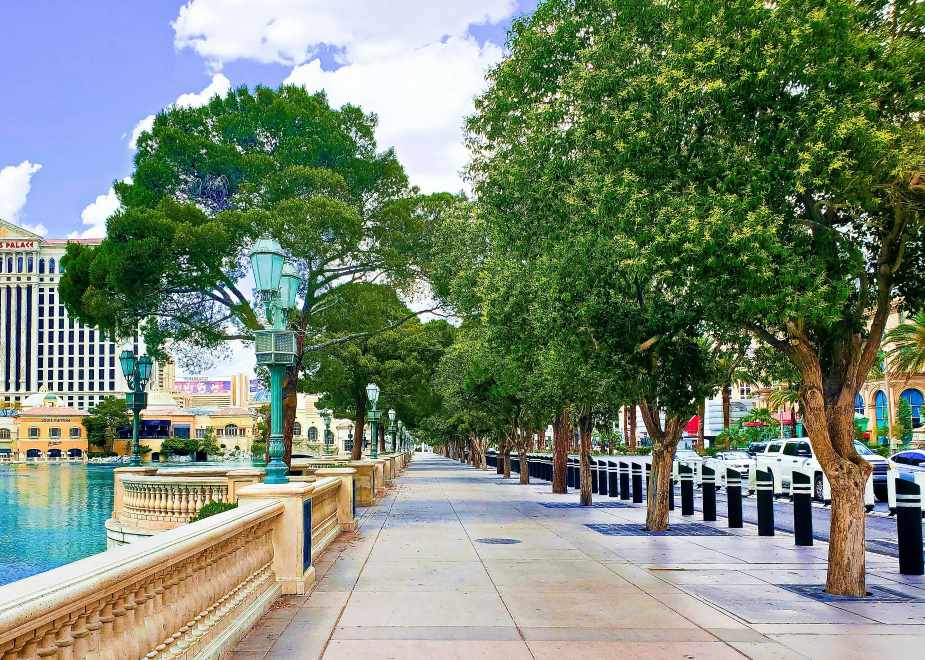 Climate Science Digest: June 25, 2025 Image: a street lined with trees next to a body of water