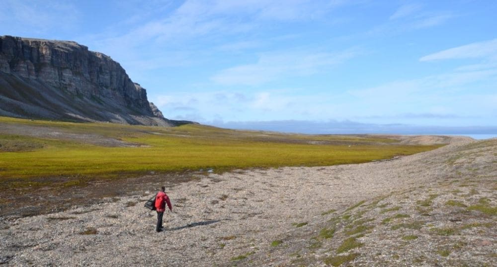 Arctic peatlands spreading northward as temperatures rise Image: Fieldwork in Svalbard