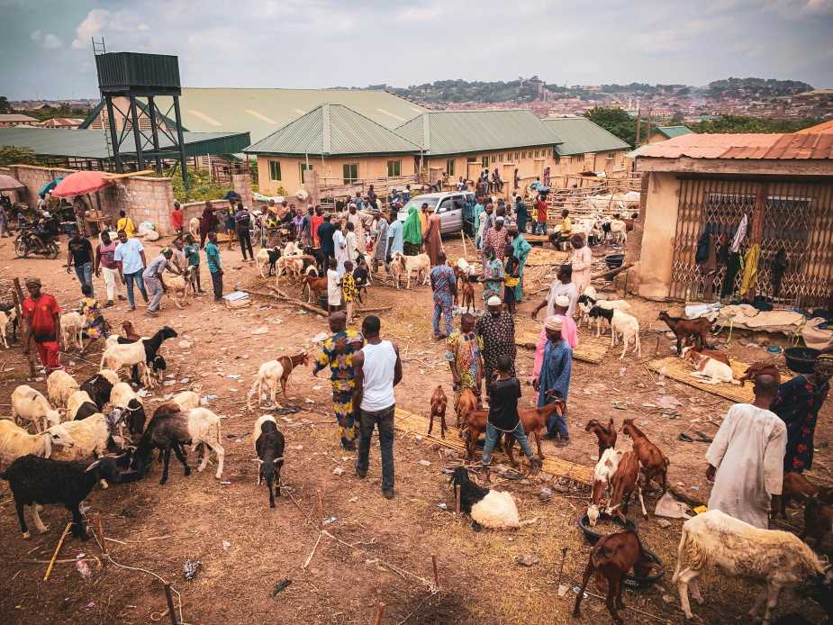 Global public backs redistributive and climate policies Image: People and animals crowd in a village, Africa (s. climate change mitigation)