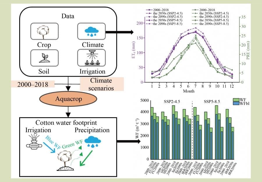Image: Graphical abstract