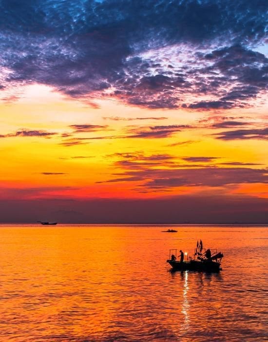 Image: Record-breaking 2023 marine heatwaves