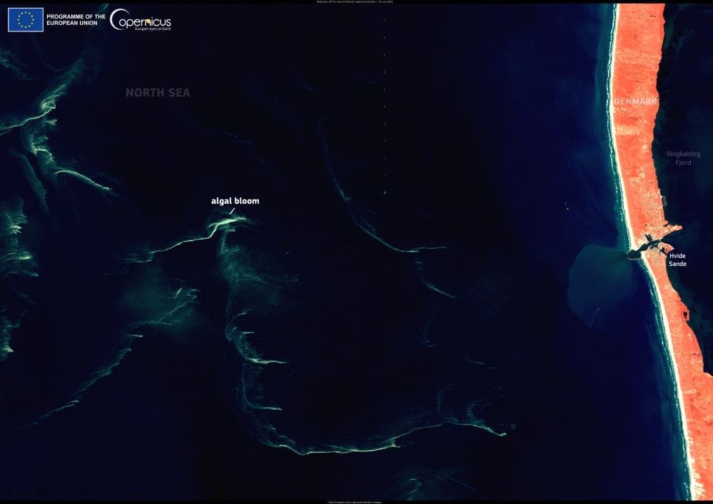 Satellite Image: Algal blooms, North Sea, Denmark