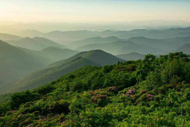 Image: Appalachian Mountains (s. science, climate, Muser)