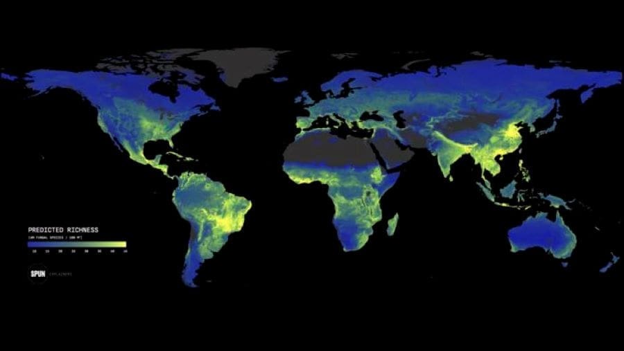 Image: Map of global arbuscular mycorrhizal fungi hotspots