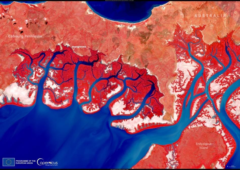 Satellite Image: Cobourg Peninsula, Australia