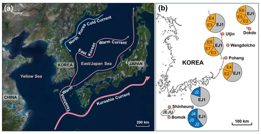 Climate Science Digest: July 1, 2025 Image: Map of the study area