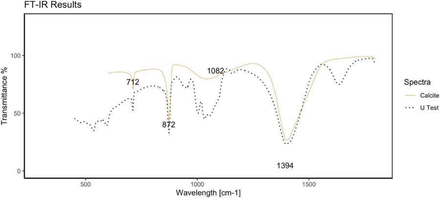 Microbe turns CO₂ into stone using clean mineralization pathway Image: graphic