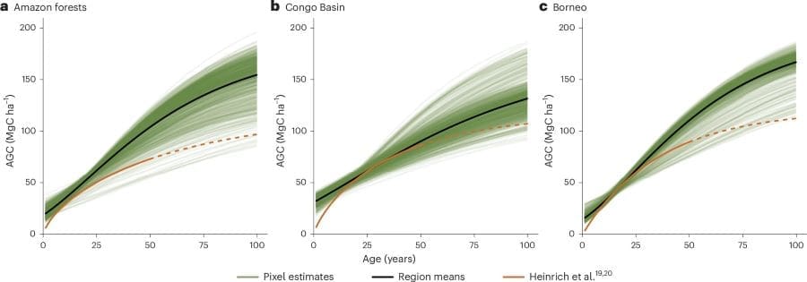 Image: Modelled aboveground carbon accumulation in three tropical regions (Amazon, Congo Basin and Borneo) (s. Young forests)