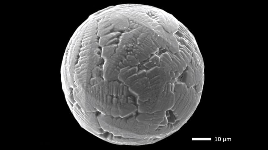 Image: Electron microscope image of a 240-million-year-old micrometeorite (s. science, climate, Muser)
