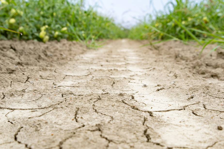 Almost half of Europe and Mediterranean basin hit by drought Image: drought, EU, dry soil