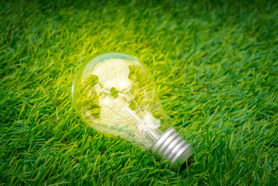 Image: Eco concept - light bulb grow in the grass (s. health benefits, energy efficiency)