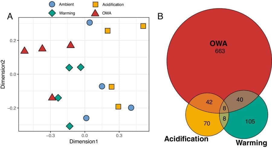 Climate Science Digest: July 24, 2025 Image: Overview of epigenetic changes