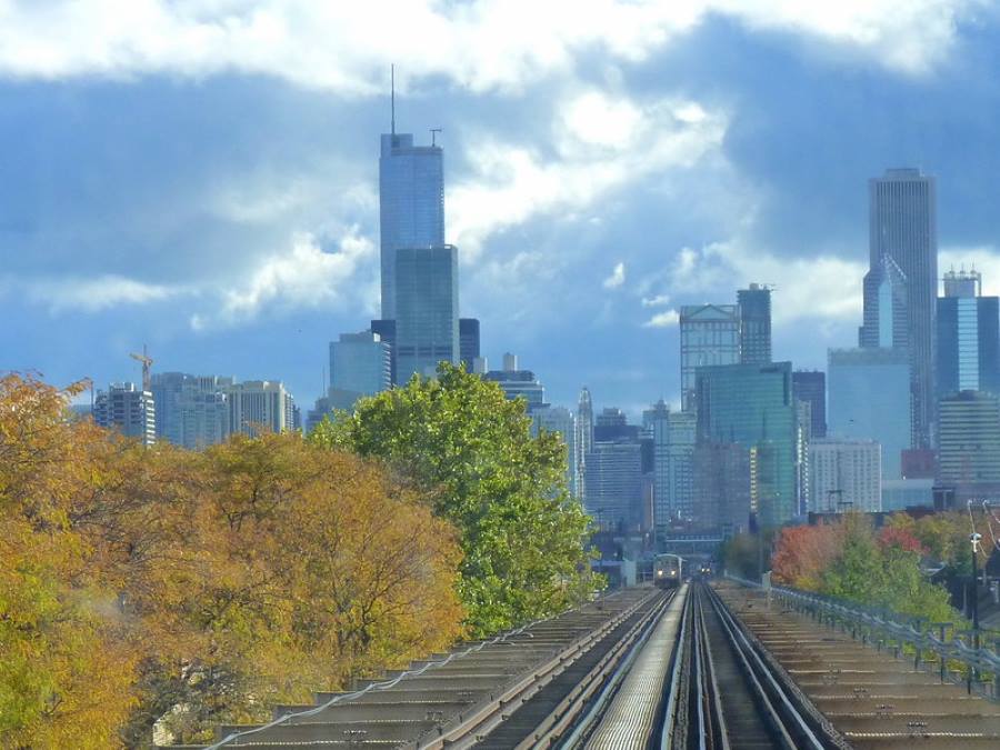 Image: The Green Line travels through the urban forest (s. science, climate, Muser)