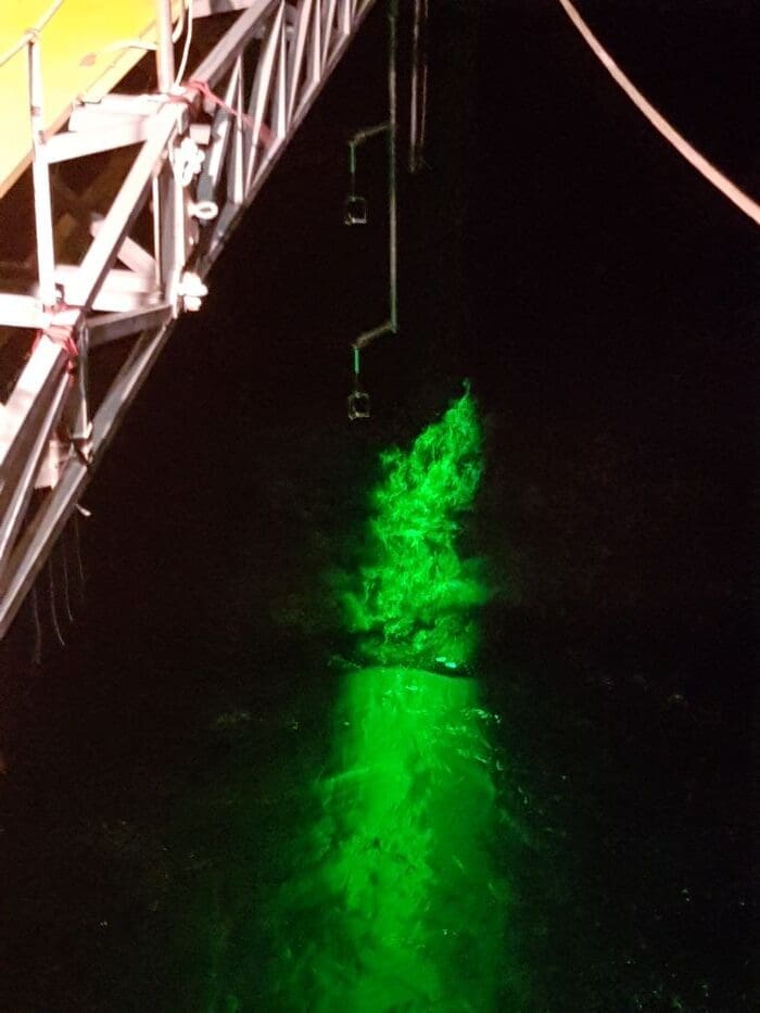 Climate Science Digest: July 15, 2025 Image: green laser that cuts through air and water, making currents visible