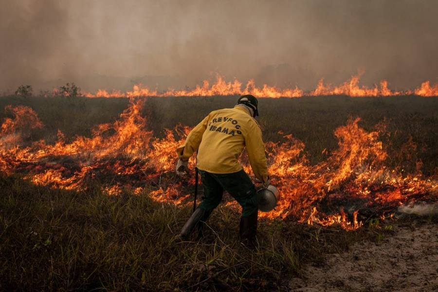 Image: Forest degradation rises 163% in the Amazon, offsetting climate gains