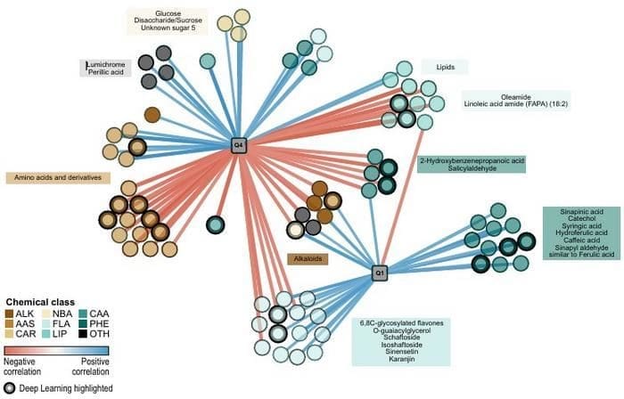 Climate Science Digest: July 23, 2025 Image: Complex interaction network of root exudate metabolites and BNI activity in different wheat genotype (s. science, climate, Muser)
