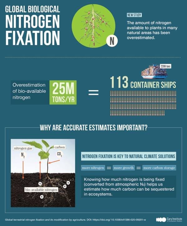 Climate Science Digest: July 17, 2025 Image: Infographic - Global biological nitrogen fixation