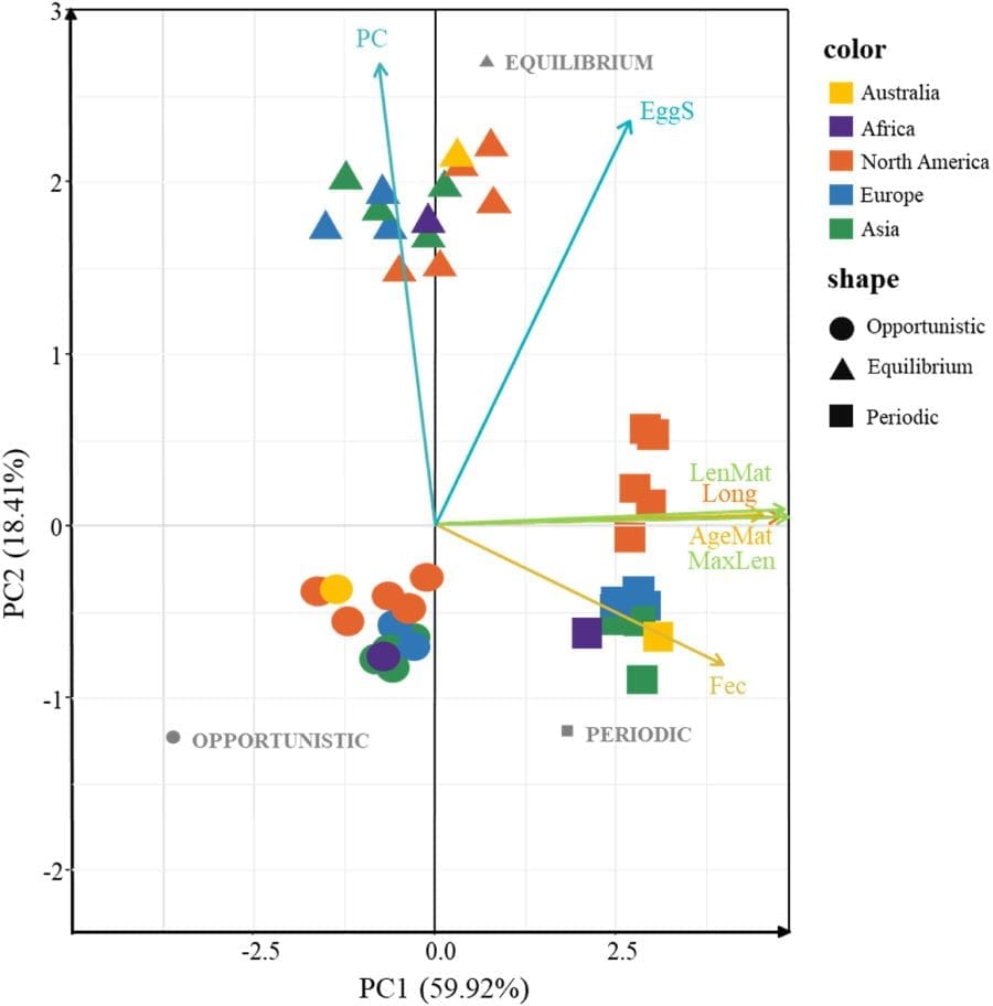 Image: Graphic (s. science, climate, Muser)