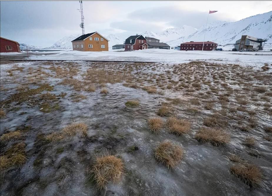 Arctic winter thaws as rain replaces snow in Svalbard Image: snapshot, Svalbard
