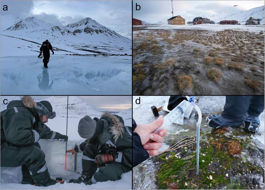 Image: Snapshots from the February 2025 thawing event in Ny-Ålesund, Svalbard (s. Arctic)