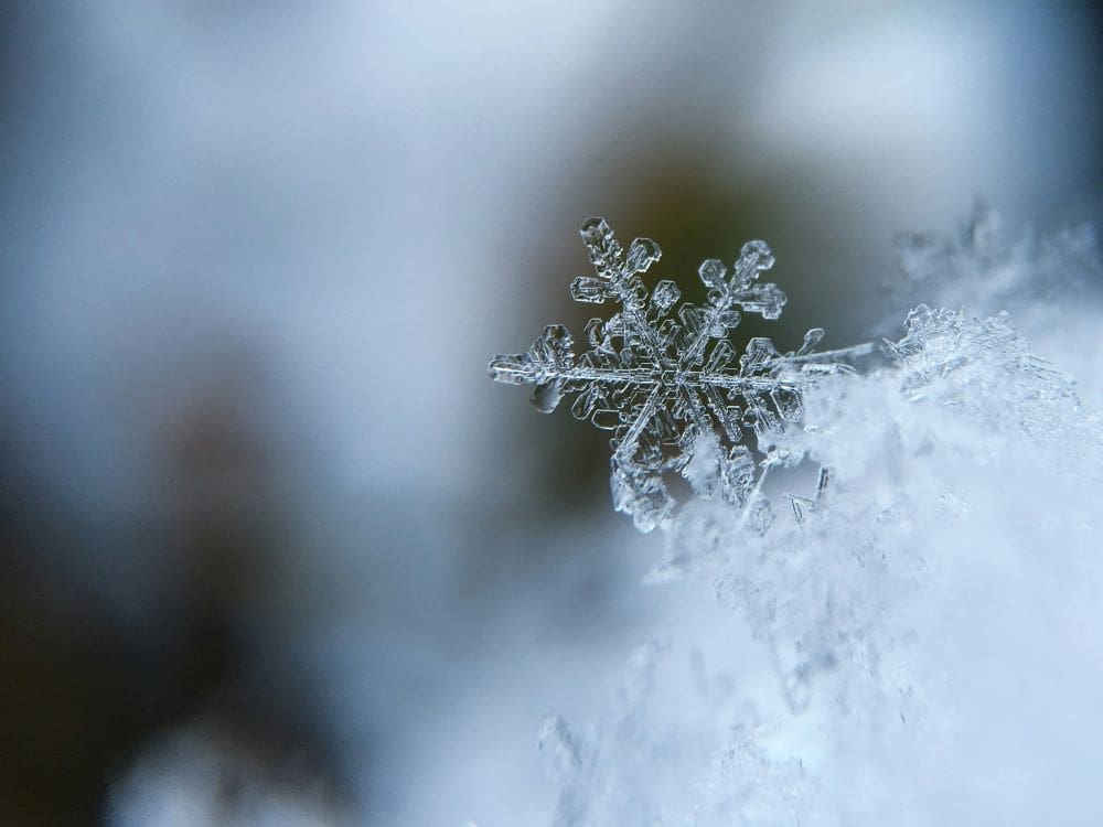 Image: snowflake (s. heavy snow, climate)