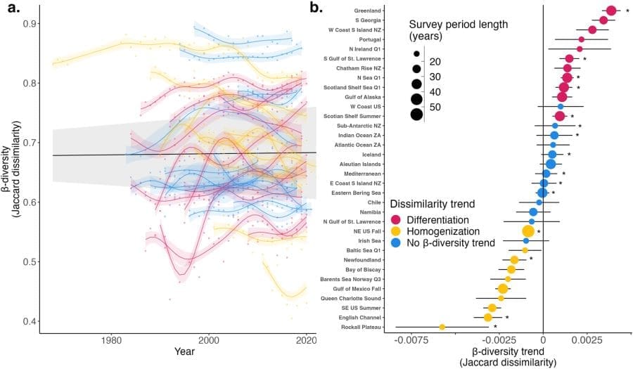 Image: Trends in spatial beta diversity over time