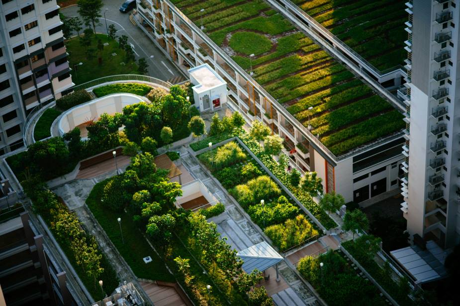 Warsaw’s urban gardens show strong potential for climate adaptation Image: top view of building with trees (s. urban gardens)