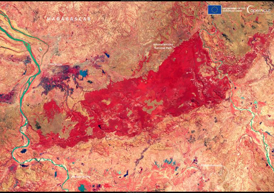 Satellite Image: Ankarafantsika National Park, Madagascar