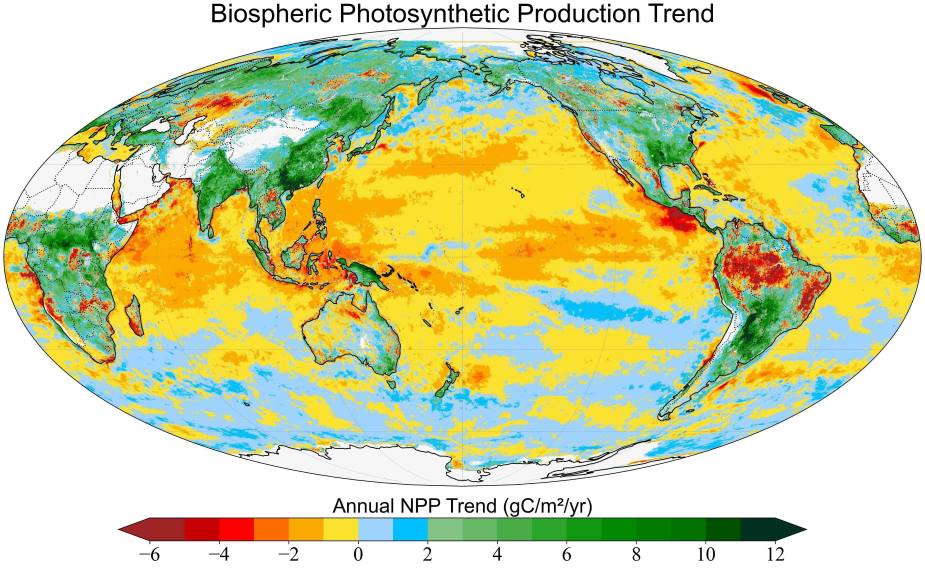 Photosynthesis rising on land but falling in oceans, global study finds Image: Global net primary production, 2003-2021 (s. photosynthesis, climate change)