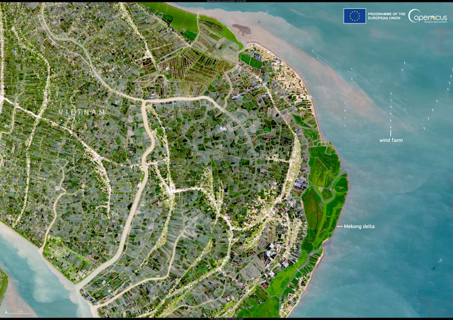 Satellite Image: The Mekong Delta, Vietnam