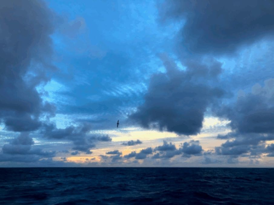 North Pacific subsurface waters acidifying faster than surface Image: Station ALOHA, Pacific