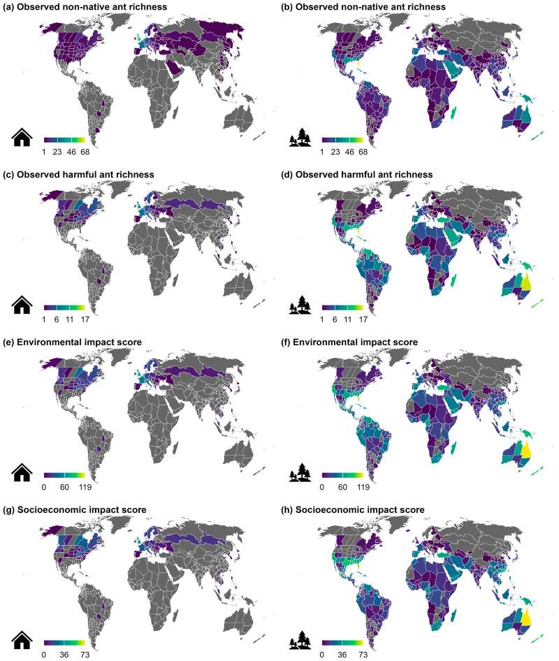 Image: Maps of global distribution