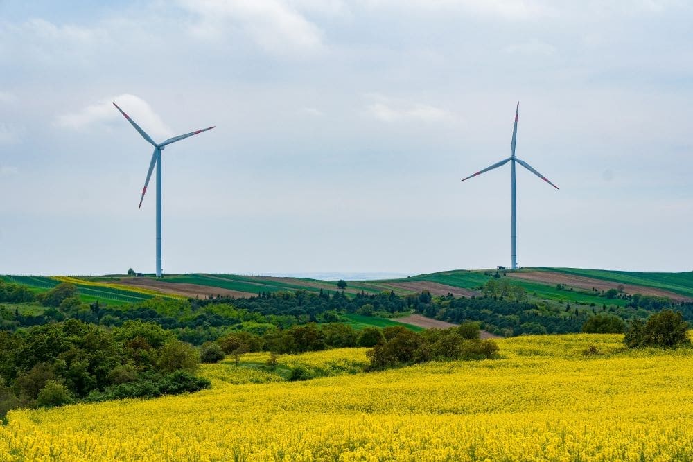 Image: Scenic Wind Turbines in Vibrant Canola Field