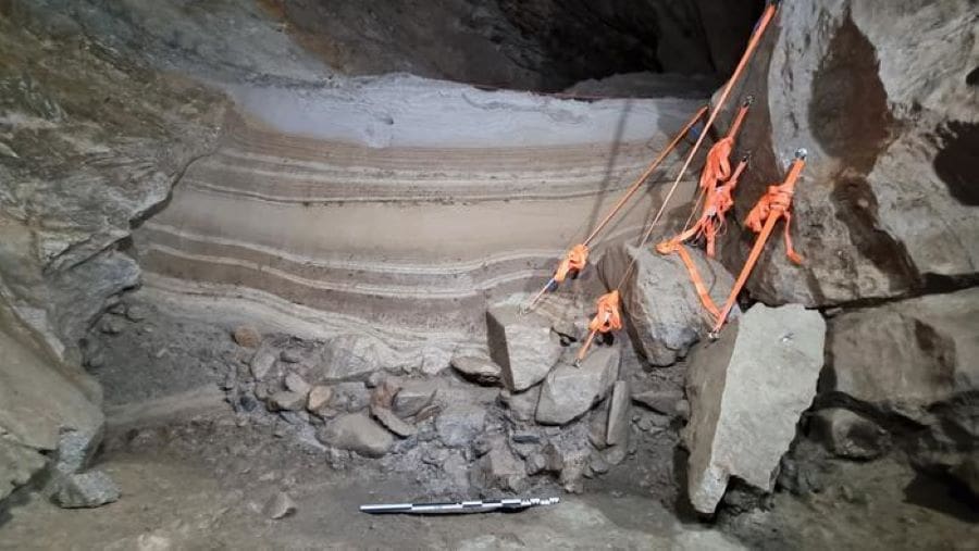 Climate Science Digest: August 4, 2025 Image: cave