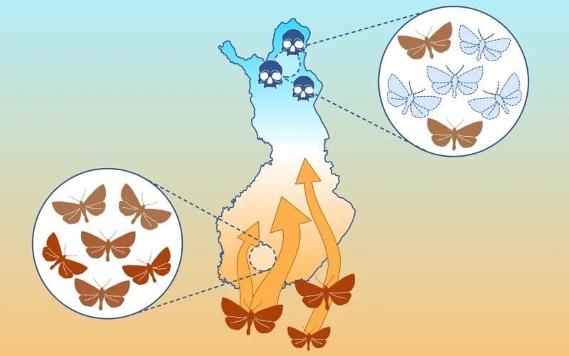 Climate Science Digest: August 24, 2025 Image: Illustration