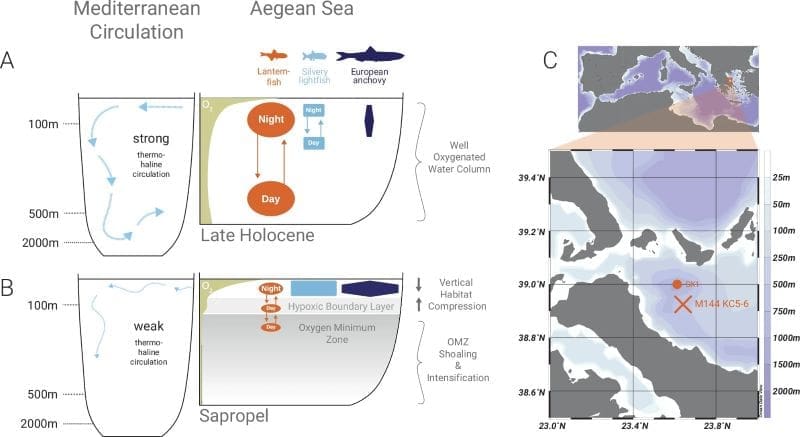 Image: Ecological response of fish to changing oceanographic conditions during the Holocene in the central western Aegean Sea, adapted from previous studies