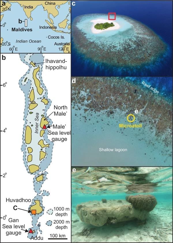 Climate Science Digest: August 14, 2025 Image: Field location of coral microatoll sample site