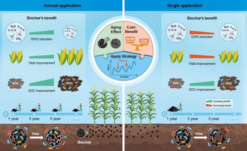 Image: Conceptual diagram illustrating sustained benefits of long-term biochar application on food security and climate change mitigation