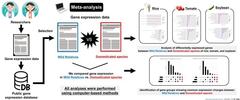 Image: An overview of meta-analysis of wild and cultivated crop species