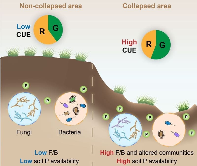 Image: Infographic 