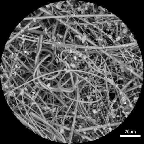 Image: Electron microscope image of a quartz fiber filter with numerous micrometer-sized microplastic indoor dust particles
