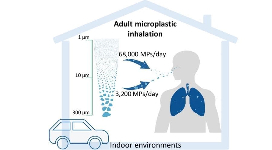 Image: Indoor microplastic concentrations