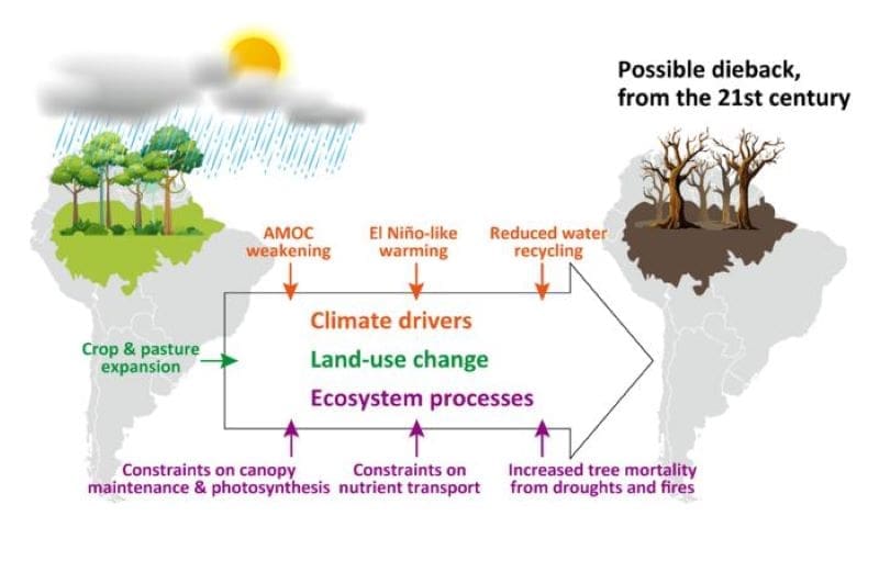 Climate Science Digest: August 25, 2025 Image: infographic