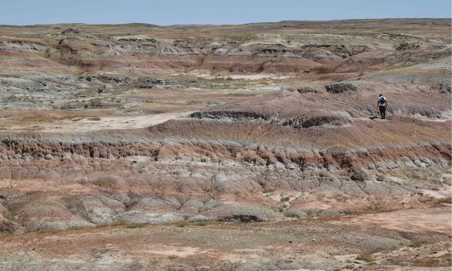 Ancient predator’s bone-crunching diet reveals secrets of climate survival Image: Willwood Formation, Bighorn Basin, Wyoming, U.S.A.