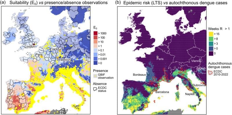 Image: Suitability of Western Europe for the establishment of Aedes albopictus and epidemic risk of dengue compared to observations 