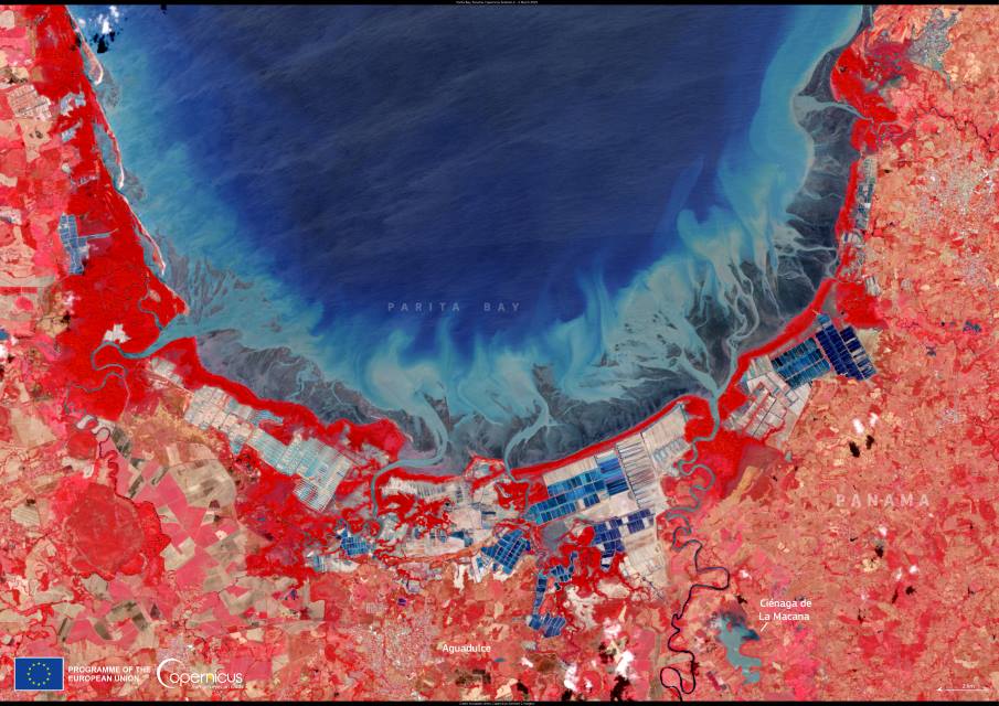 Satellite Image: The Parita Bay Wetlands, Panama